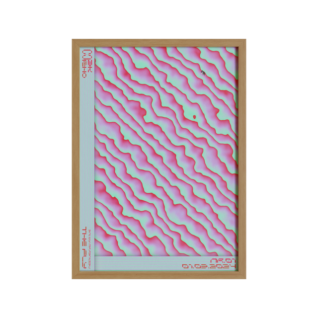 LA MOUCHE AVEC CADRE