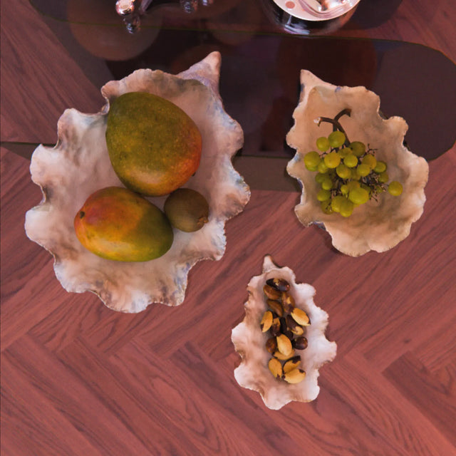 PIATTO / OSTRICA / PICCOLO