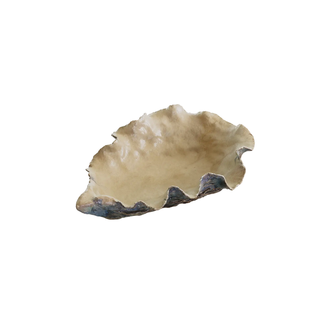 PIATTO / OSTRICA / MEDIO