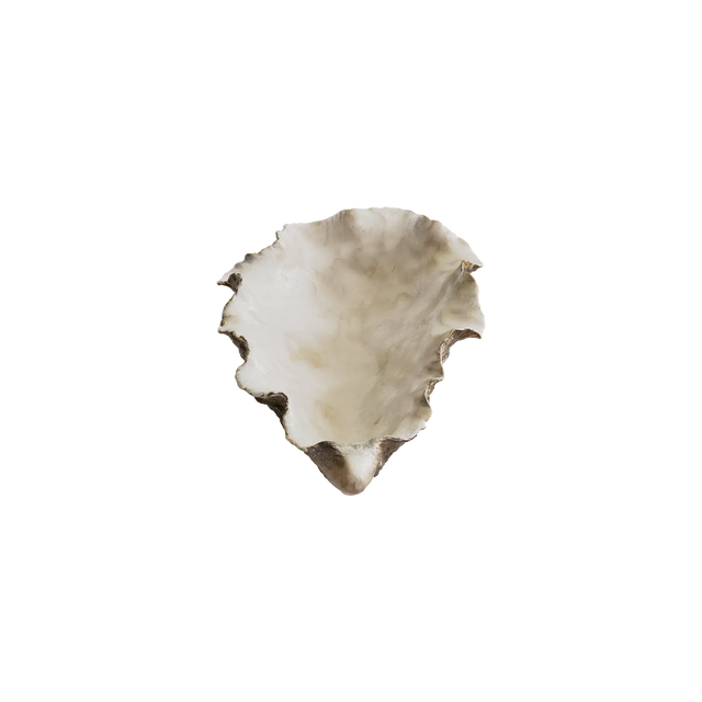 PIATTO / OSTRICA / PICCOLO