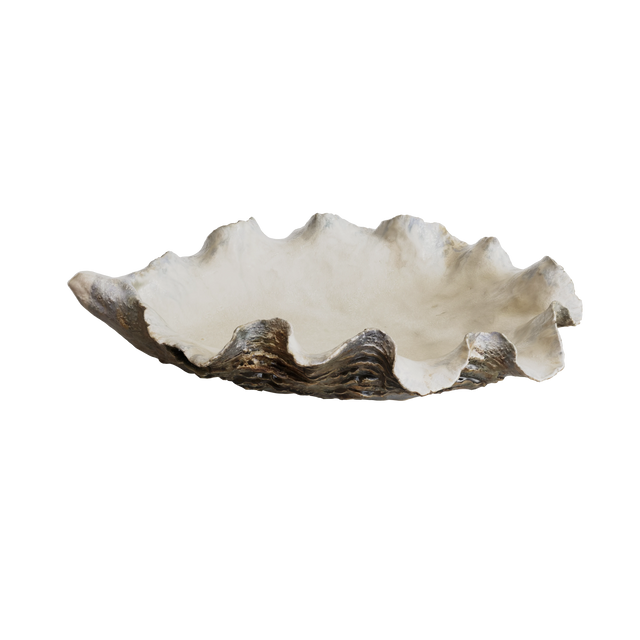 DISH / OYSTER / LARGE