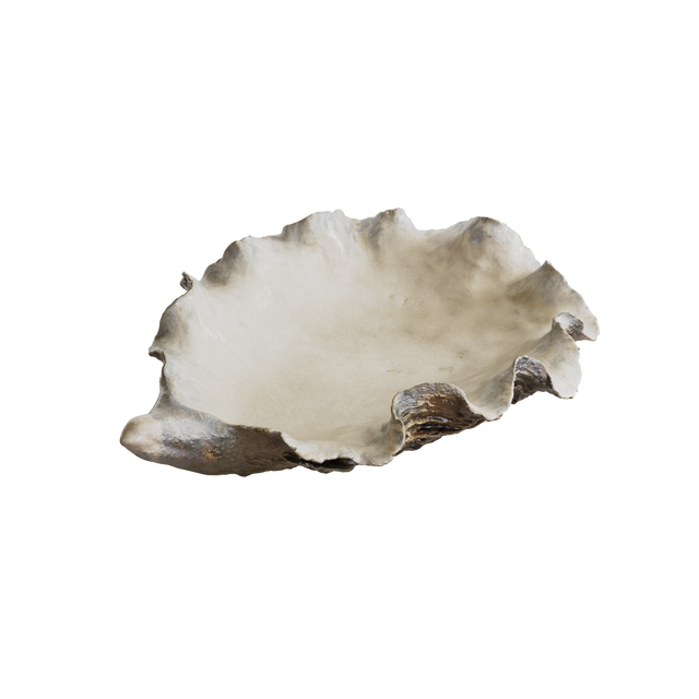 DISH / OYSTER / LARGE