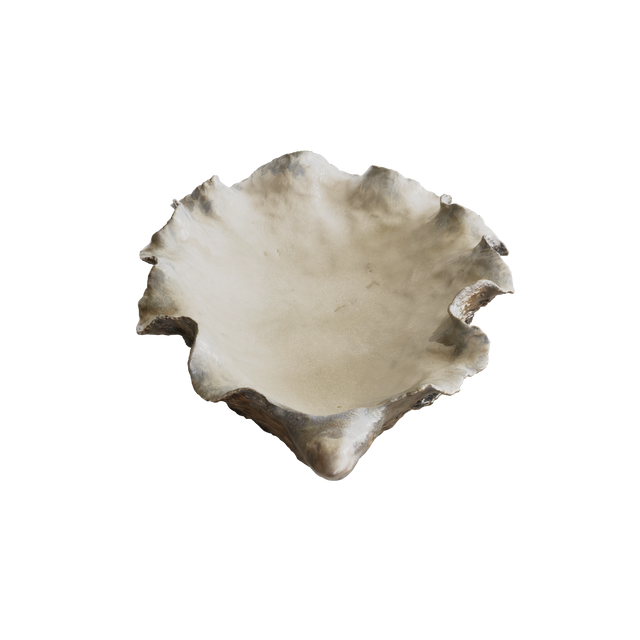 DISH / OYSTER / LARGE